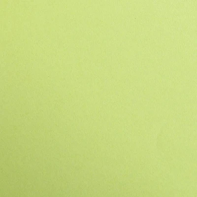 Abbildung von Clairefontaine 97152C Tonzeichenpapier Pack, 25 Bögen Premium, 50 x 70 cm, 120 g, mossgrün