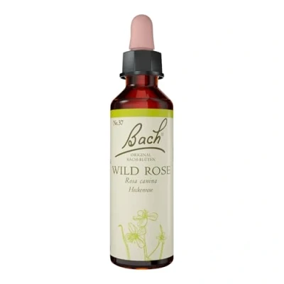 Abbildung von Bachblüten Wild Rose Tropfen