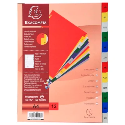 Abbildung von Exacompta Ref. 95E Karton mit 20 Registern aus Polypropylen 12 monatlich bedruckten von Januar bis Dezember in Farbe Indexseite bedruckbar für A4 Maße 22,5 x 29,7 cm