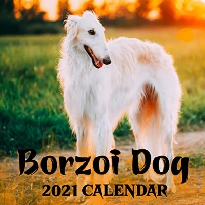 Abbildung von Borzoi Dog 2021 Calendar: Calendar 2021,8.5 x 8.5 inch, Monthly Lover&#039;s