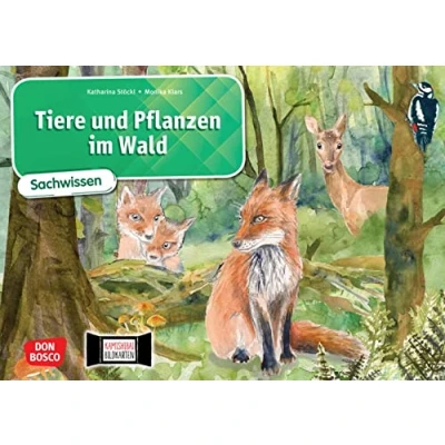 Abbildung von Tiere und Pflanzen im Wald. Kamishibai Bildkartenset: Entdecken Erzählen Begreifen: Sachwissen. Material für den Sachunterricht Klasse 1 4, alles ... (Sachwissen das Kamishibai)