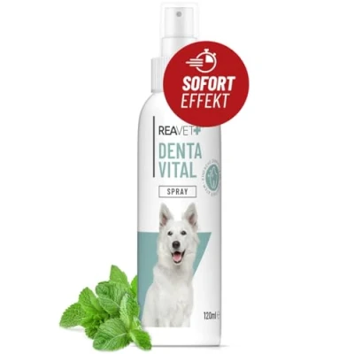 Abbildung von ReaVET Dentalspray für Hunde Entfernt Zahnbelag I Neutralisiert Mundgeruch, beugt Zahnstein vor Zahnpﬂege Spray Hund, Zahnreinigung ohne Bürste einen frischen Atem 120ml