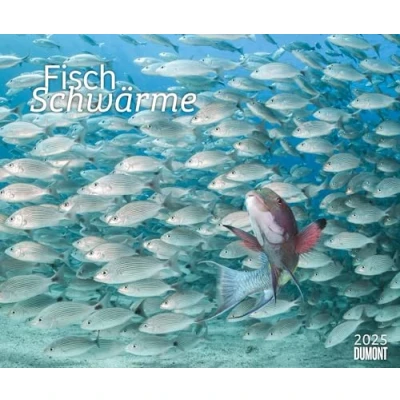 Abbildung von DUMONT Fischschwärme 2025 Fotokunst Kalender, 60x50cm, Wandkalender mit bunten Unterwasserwelt Aufnahmen, schillernde von Top Unterwasserfotografen: Fish swarms