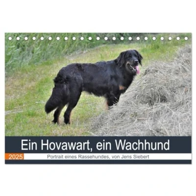Abbildung von ein Hovawart, Wachhund (Tischkalender 2025 DIN A5 quer), CALVENDO Monatskalender