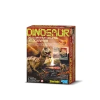Abbildung von 4M Kinderlabor: Skelett eines Velociraptors