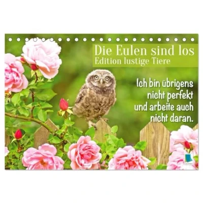 Abbildung von Die Eulen sind los: Edition lustige Tiere (Tischkalender 2025 DIN A5 quer), CALVENDO Monatskalender