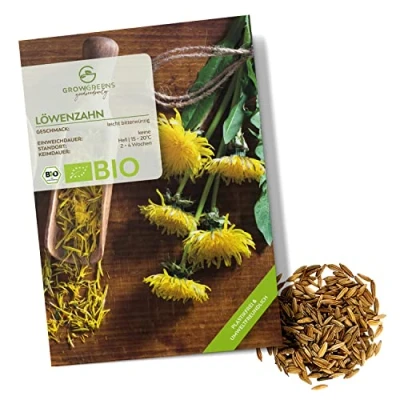 Abbildung von BIO Löwenzahn Samen Küchenkräuter Saatgut aus biologischem Anbau ideal für den heimischen Kräutergarten, Balkon &amp; Garten (400 Korn) Mehrfarbig