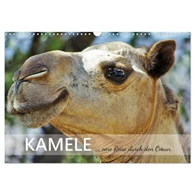 Abbildung von KAMELE... eine Reise durch den Oman. (Wandkalender 2025 DIN A3 quer), CALVENDO Monatskalender