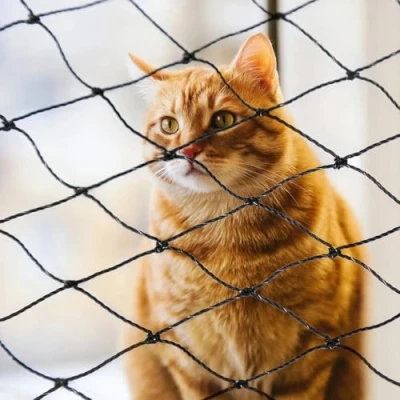 Abbildung von Parain Katzennetz für Balkon Fenster Drahtverstärkt Katzenschutznetz Robustes Katzengitter Schutznetz Balkonnetz Katzen 6x3m