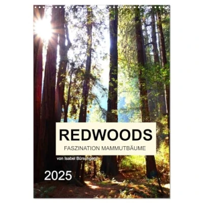 Abbildung von Redwoods Faszination Mammutbäume (Wandkalender 2025 DIN A3 hoch), CALVENDO Monatskalender