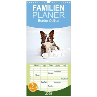 Abbildung von Familienplaner 2025 Border Collies mit 5 Spalten (Wandkalender, 21 cm x 45 cm), CALVENDO