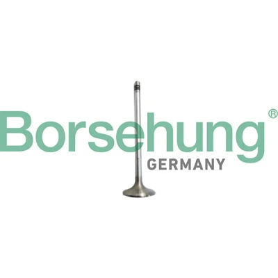 Abbildung von Einlassventil Borsehung B10327