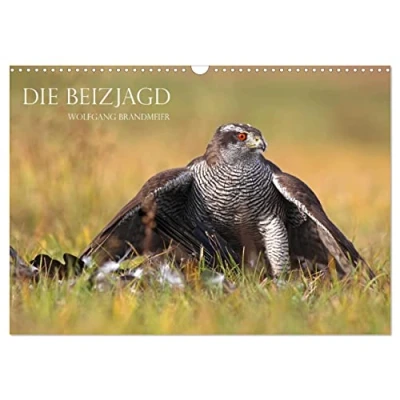 Abbildung von Die Beizjagd (Wandkalender 2025 DIN A3 quer), CALVENDO Monatskalender