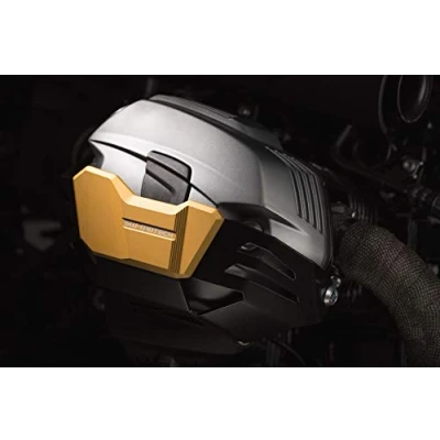Abbildung von SW MOTECH Zylinderschutz Alu für BMW R 1200 AC 2010 gold