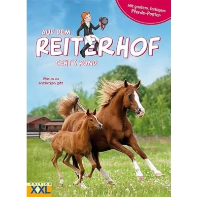 Abbildung von Auf dem Reiterhof geht&#039;s rund mit großem, farbigem Pferde Poster: Was es zu entdecken gibt