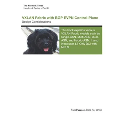 Abbildung von VXLAN Fabric with BGP EVPN Control Plane: Design Considerations