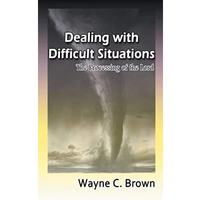 Abbildung von Dealing with Difficult Situations: the Processing of Lord