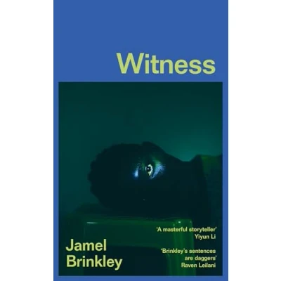 Abbildung von Witness: the stunning new short story collection of families and relationships ‘Brinkley’s sentences are daggers’ Raven Leilani