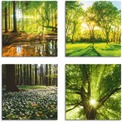 Abbildung von Artland Leinwandbild &quot;Wald Bach Frühling Windrosen Sonne Baum&quot;, Wald, (4 St.), 4er Set, verschiedene Größen