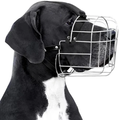 Abbildung von BRONZEDOG Hundemaulkorb Verstellbar Robustes PVC/Metalldrahtkorb für Große und Sehr Hunde mit Lederbändern Atmungsaktiv, Trinkfähig, Training, Verhindert Beißen (Great Dane, Edelstahl)