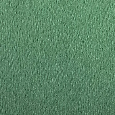 Abbildung von Clairefontaine 93878C Packung (mit 25 Bögen Zeichenpapier Etival Color, DIN A4, 21 x 29,7 cm, 160g, gekörnt, ideal für Trockentechnik und Einrahmen) dunkelgrün