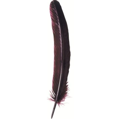Abbildung von J.Herbin 23126T Packung mit 10 Gänsekiel (28 cm, ideal für Kalligraphie) 1 Pack bordeaux