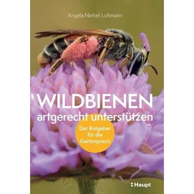 Abbildung von Wildbienen artgerecht unterstützen: Der Ratgeber für die Gartenpraxis