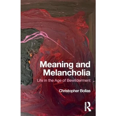 Abbildung von Meaning and Melancholia: Life in the Age of Bewilderment