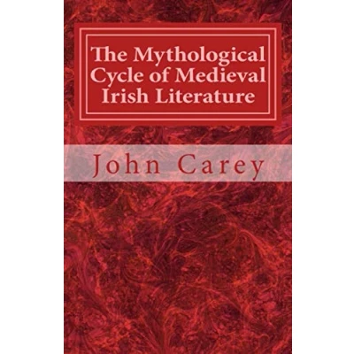 Abbildung von The Mythological Cycle of Medieval Irish Literature (Cork Studies in Celtic Literatures, Band 3)
