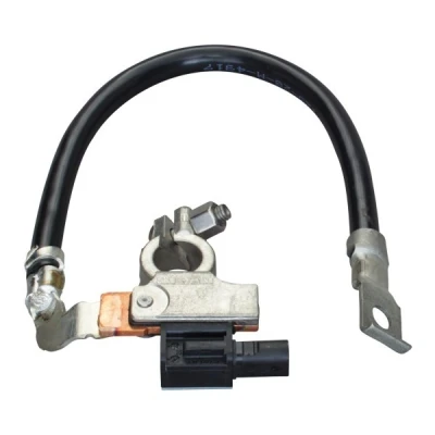 Abbildung von HELLA 6PK 010 561 901 Sensor, Batteriemanagement