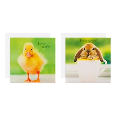 Abbildung von Hallmark Osterkarten für Wohltätigkeitsorganisationen 10 Karten in 2 niedlichen Tier Foto Designs