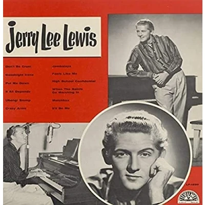 Abbildung von Jerry Lee Lewis [Vinyl LP]