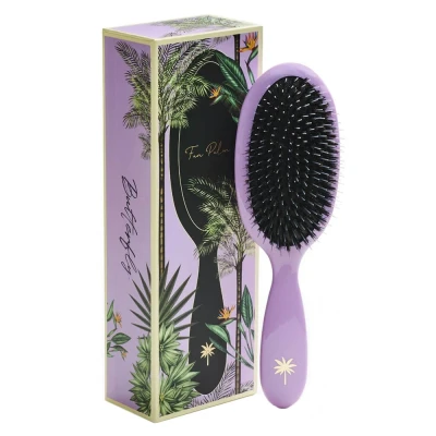 Abbildung von Fan Palm Medium Butterfly Brush