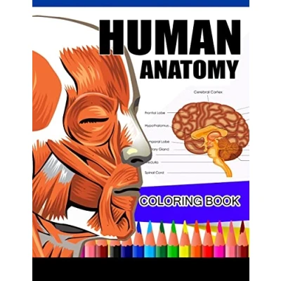 Abbildung von Human Anatomy Coloring Book: &amp; Physiology Book (Complete Workbook)