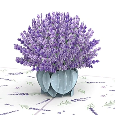 Abbildung von papercrush® Pop Up Liebeskarte Lavendel 3D Blumenkarte für Frau und Freundin (Muttertag, Geburtstagskarte, Gute Besserung, Genesung, Dankeskarte), Glückwunschkarte zum Geburtstag Mama