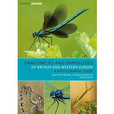 Abbildung von Dragonflies and Damselflies of Britain Western Europe: A Photographic Guide (Bloomsbury Naturalist)