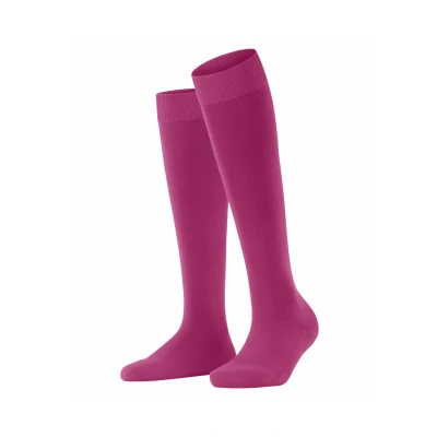 Abbildung von Falke Climawool Business &amp; Casual Kniestrümpfe, Damen, Größe: 37/38, Berry