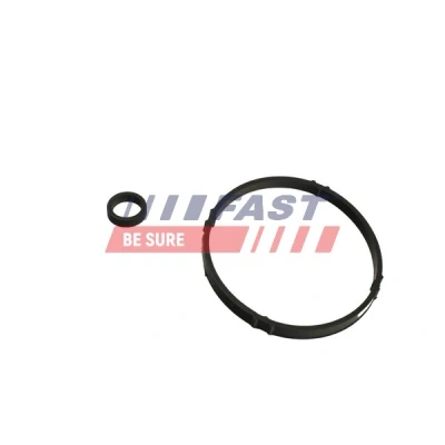Abbildung von FAST FT48952 Dichtung, Ölkühler Ölfiltergehäuse, Motorblock PEUGEOT: 307 Schrägheck, 206 SW, CITROËN: C2 C3 I Schrägheck