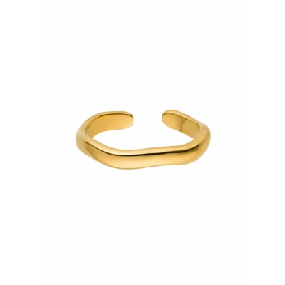 Abbildung von Purelei® Nakuna Ring Damen Silber 18K Vergoldet, Wasserfest Mit Geschwungenem Design, Größenverstellbar, Geschenk für (M/L, Gold, Silber, Rose)