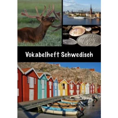 Abbildung von Vokabelheft Schwedisch: Schwedisch Vokabelheft, DIN A4, 100 Seiten, 3 Spalten