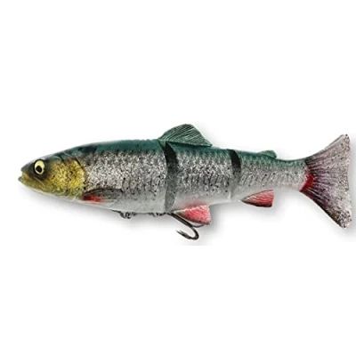 Abbildung von Savage Gear 4D Line Thru Trout Swimbait Green Silver 15cm (40g)