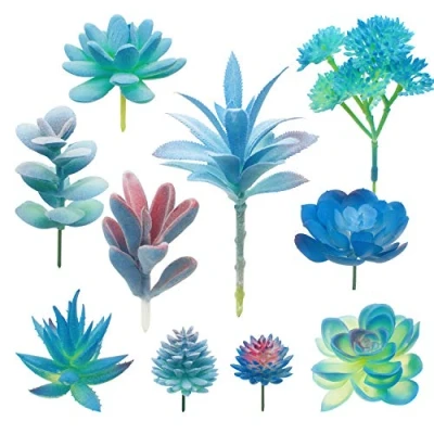 Abbildung von Woohome 10 Stück Künstliche Sukkulenten Blau Unfotted Faux Blume Künstlich Gemischt für Zuhause Indoor Fairy Garden Dekorationen