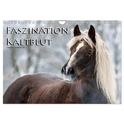 Abbildung von Faszination Kaltblut (Wandkalender 2025 DIN A4 quer), CALVENDO Monatskalender
