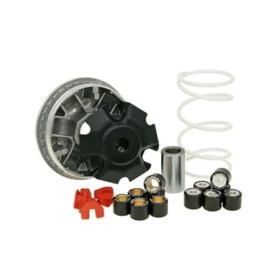 Abbildung von Variomatik MALOSSI Multivar 2000 VESPA ET4 125 4T (LEADER)