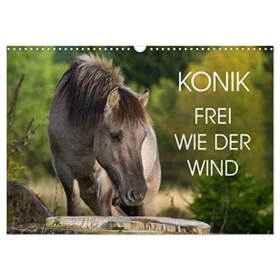 Abbildung von Konik Frei geboren (Wandkalender 2025 DIN A3 quer), CALVENDO Monatskalender