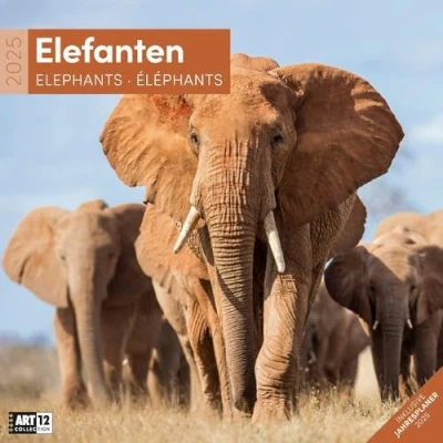 Abbildung von Elefanten 2025, Wandkalender / Broschürenkalender im Hochformat (aufgeklappt 30x60 cm) Art12 Geschenk Kalender mit Monatskalendarium zum Eintragen