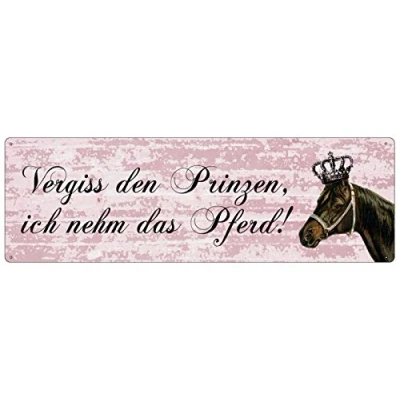 Abbildung von Interluxe METALLSCHILD Shabby Blechschild VERGISS DEN Prinzen ICH NEHM DAS Pferd Schild mit lustigem Spruch