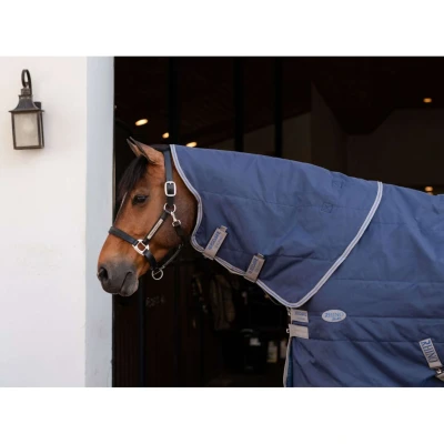 Abbildung von Rhino Stable HoodVerkauft von HypoStore