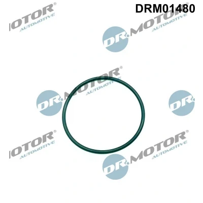 Abbildung von Dichtung, Einspritzpumpe Dr.Motor Automotive DRM01480