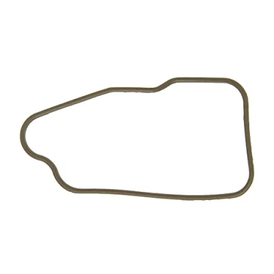 Abbildung von AJUSA 00744800 Dichtung, Thermostat OPEL: Astra G CC, Zafira A, Corsa B Schrägheck